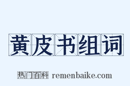 黄皮书组词是什么意思的图片